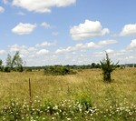 habitat