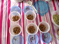 Permalink to Dyer’s Bay Blog: Shrike Buffet Mealworm Bowls