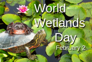 World-Wetlands-Day