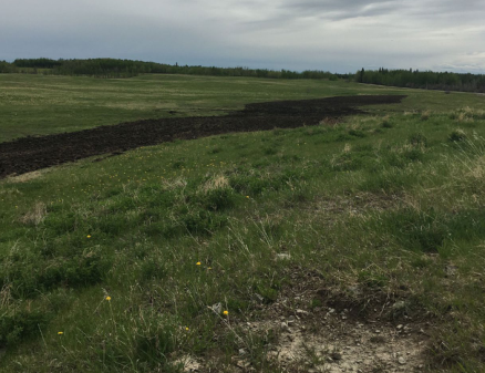 Tomahawk Ranch fields