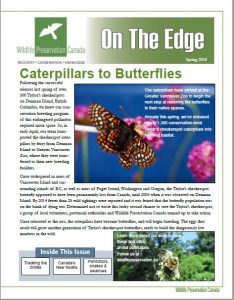 On the Edge Spring 2016