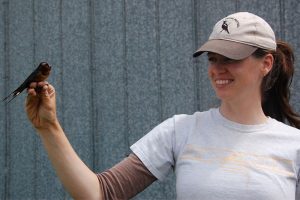 tara-imlay-with-swallos