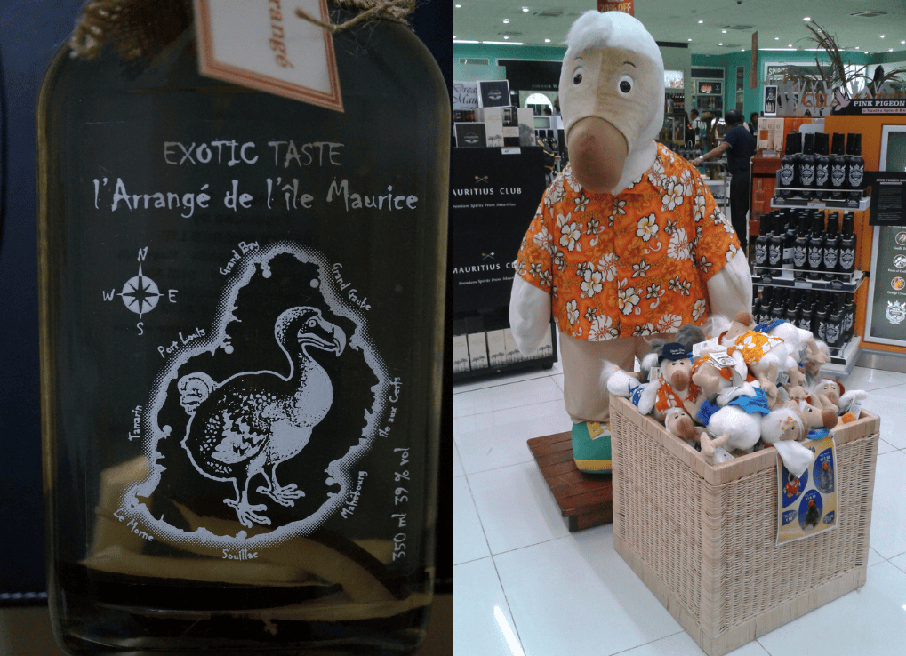 LiveFromDodoland_RumandDodo