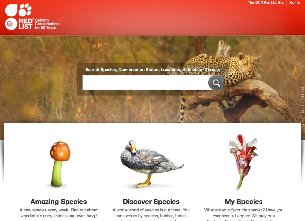 Screen shot of IUCN Red List website.