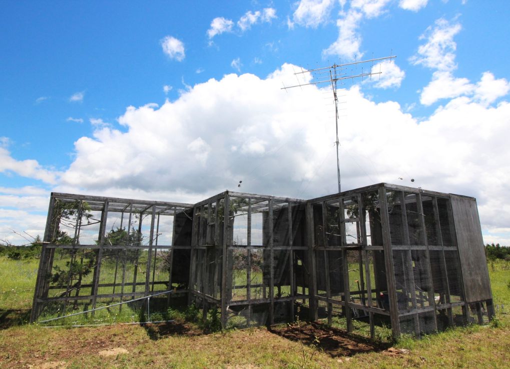 Radio Telemetry Tower.