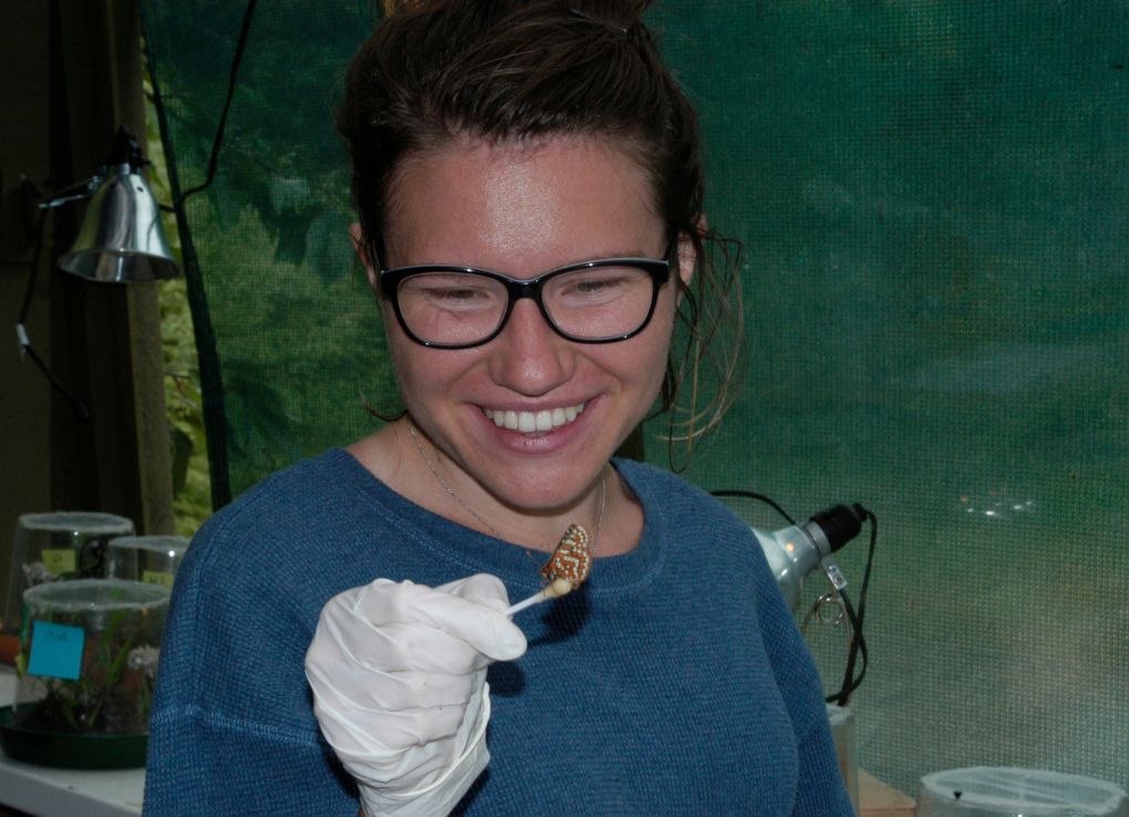 Scientist smiling while holding a Taylors Checkerspot Butterfly.