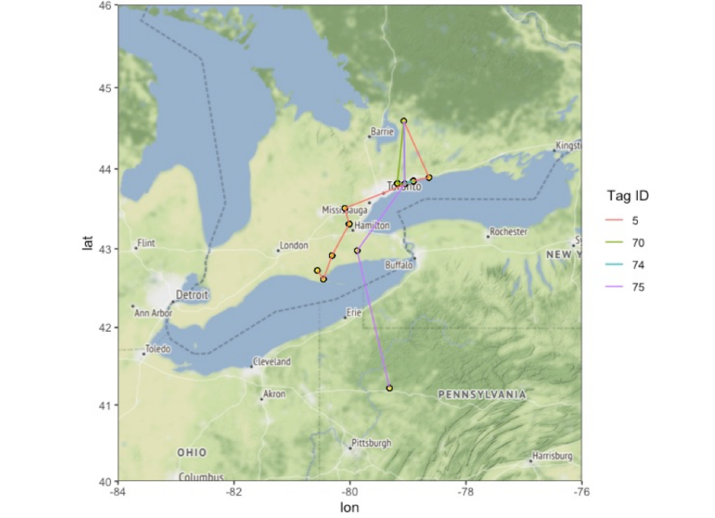 A map with locations of the eastern loggerhead shrike