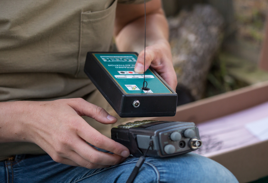 A radio Tag in a person's hand