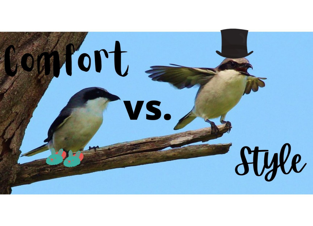 Two shrikes on a branch, overlayed text saying comfort vs style