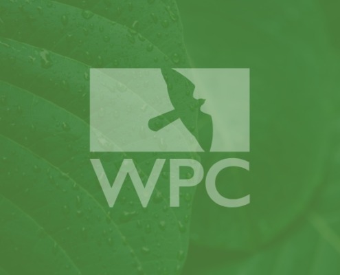 green leaf with WPC logo