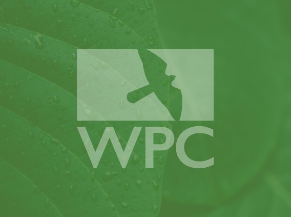 green leaf with WPC logo