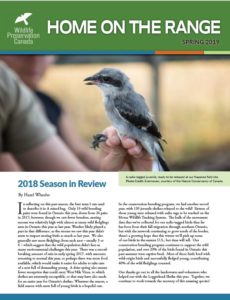 Home on the Range newsletter 1