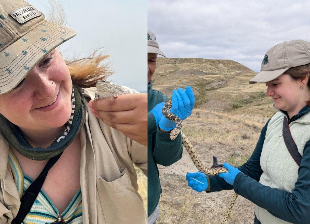 DarynFarrant_CNN_IntroBlog_LizardandSnake