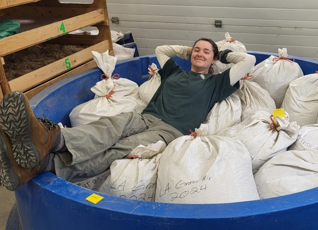 DarynFarrant_CNN_IntroBlog_bagsofseed