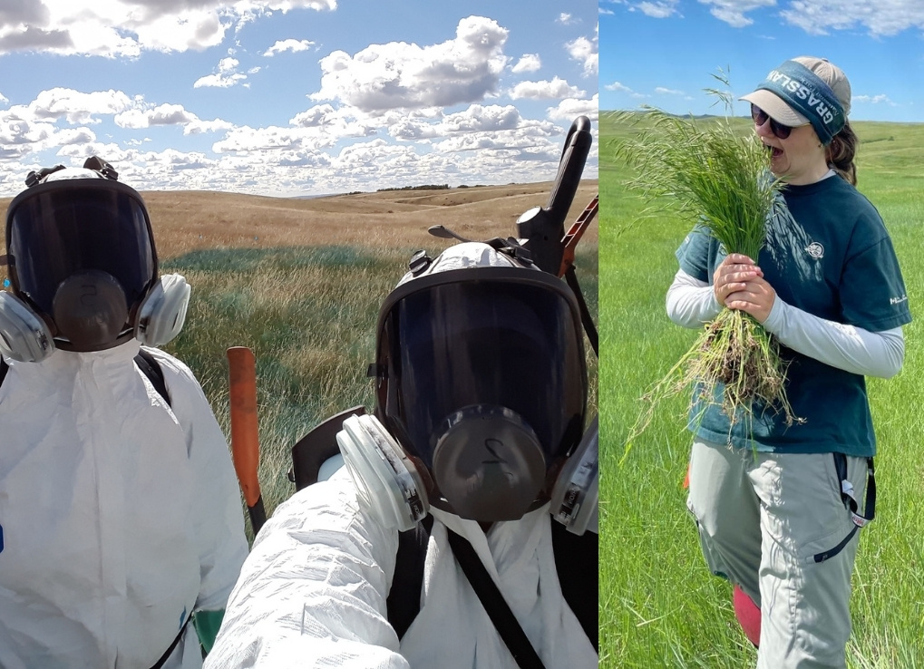 DarynFarrant_CNN_IntroBlog_herbicidesinvasives