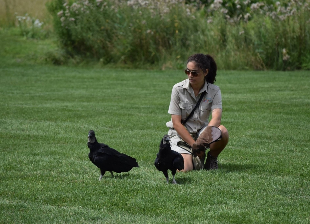 JennaKissel_CNN_IntroBlog_ALSVultures