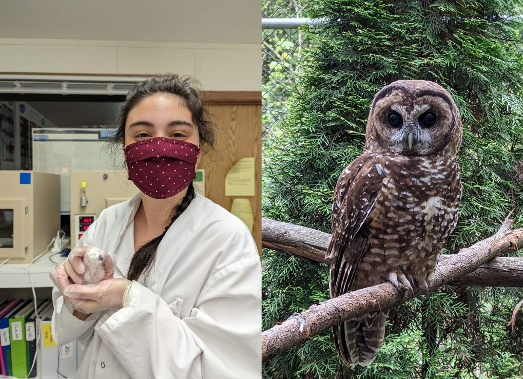 JennaKissel_CNN_IntroBlog_Holdingbabybird_Owl