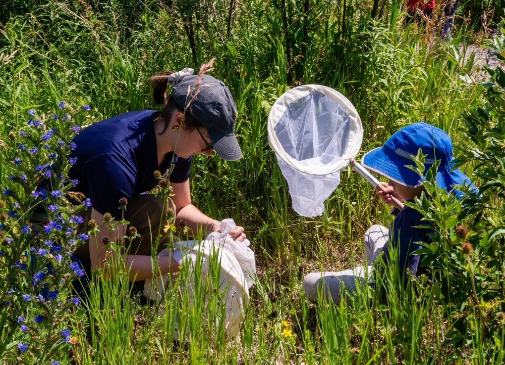 Sarah, a WPC staff member, demonstrates catching a bee for a young child. Both are holding insect nets and are crouched in the grass.