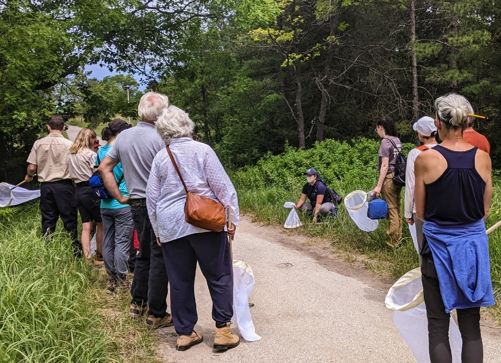 Tiffani, a WPC staff member, crouches on the ground, mimicking how to catch a bee that’s foraging on flowers on the ground. About 10 volunteers circle around her to watch.