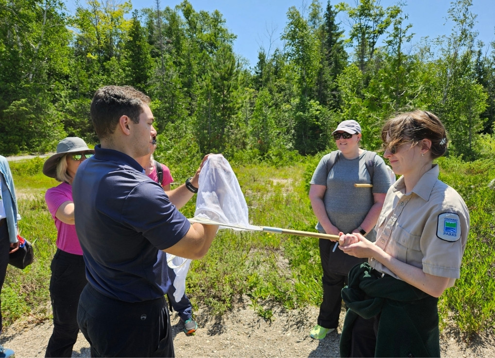 Cole (left) helps capture a bumble bee from a bug net with Ontario Parks staff (right). Volunteers look on behind the two, on a sunny day.