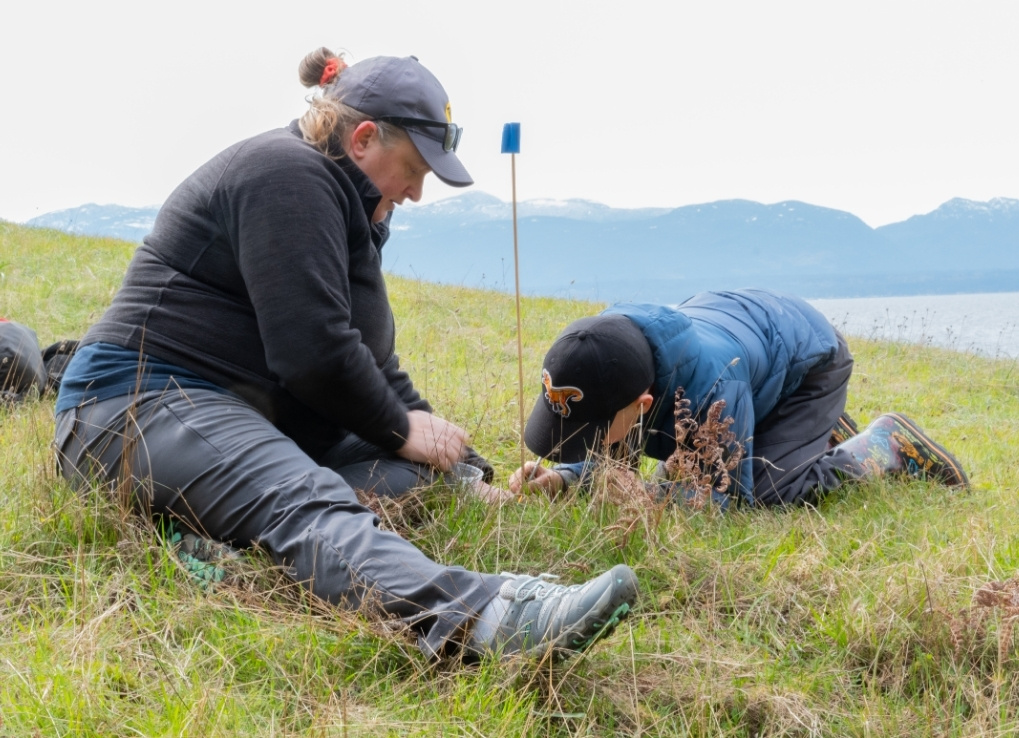 Andrea, Lead Biologist, and her son release caterpillars at the base of a marker flag with the mountains in the background.
