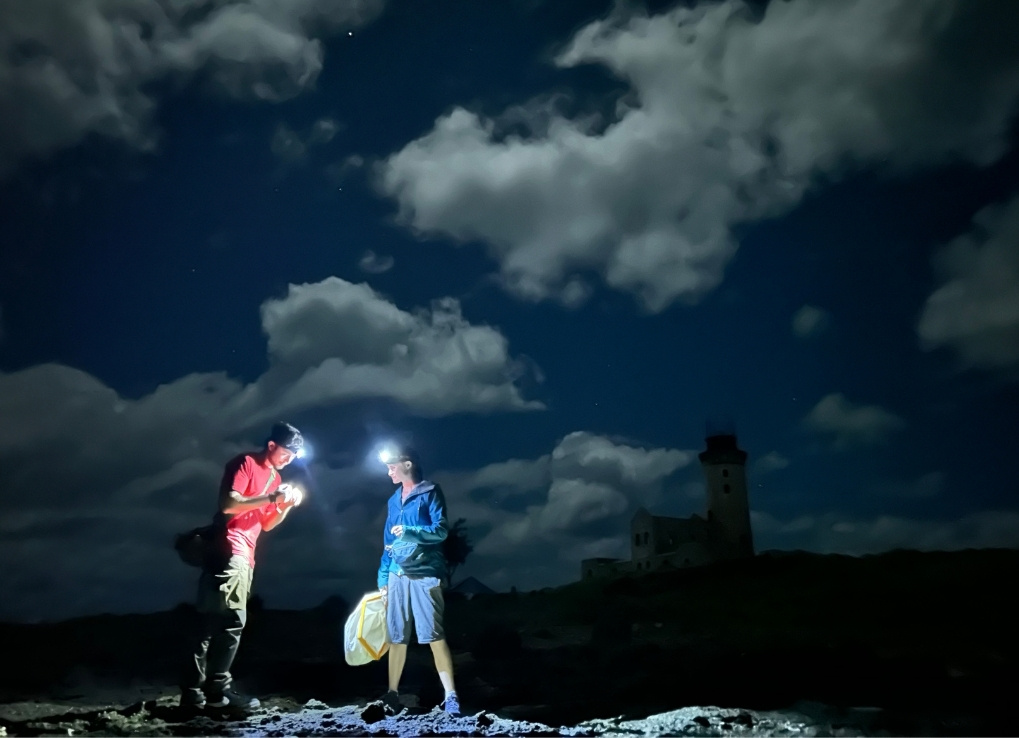 Two biologists on a night survey. Both biologists are wearing headlamps that illuminate their bodies and ground on which they are standing. In the background we can see a blue night sky with big white clouds.