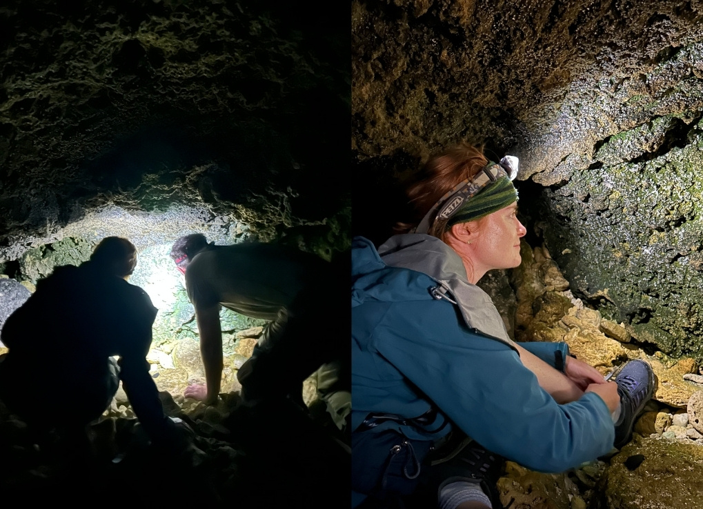Split image showing biologists on a night survey. The left image shows two biologists from behind, looking at an illuminated space on a rock wall. The right images shows a single biologists with a headlamp, looking closely at a rock wall.