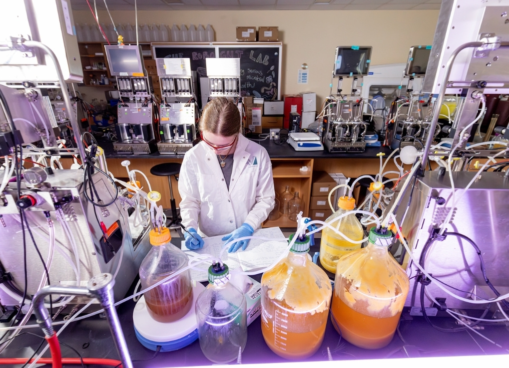 A picture from above a lab bench covered in tubes and glassware. The biologist stands in front of this lab bench, wearing a white coat and blue rubber gloves as well as safety glasses. She is writing in a lab book.