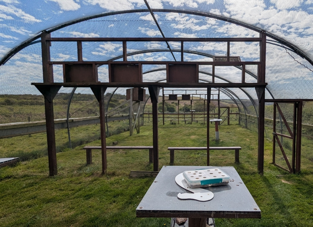 An outdoor aviary is pictured in a green field. The aviary is framed with wood and covered in mesh.