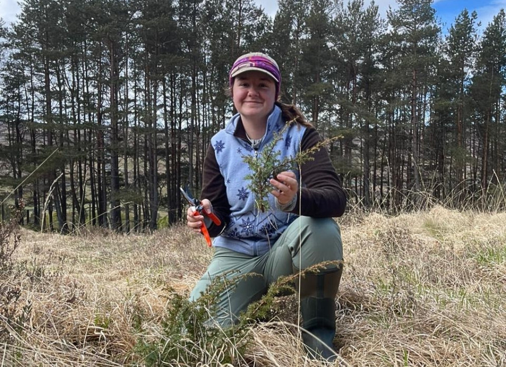 AMostPreciousCargo_DarynJuniperCutting_DarynFarrant A biologist kneels in brown grasses holding a juniper clippings and clippers in hand. A tall forest is behind her.