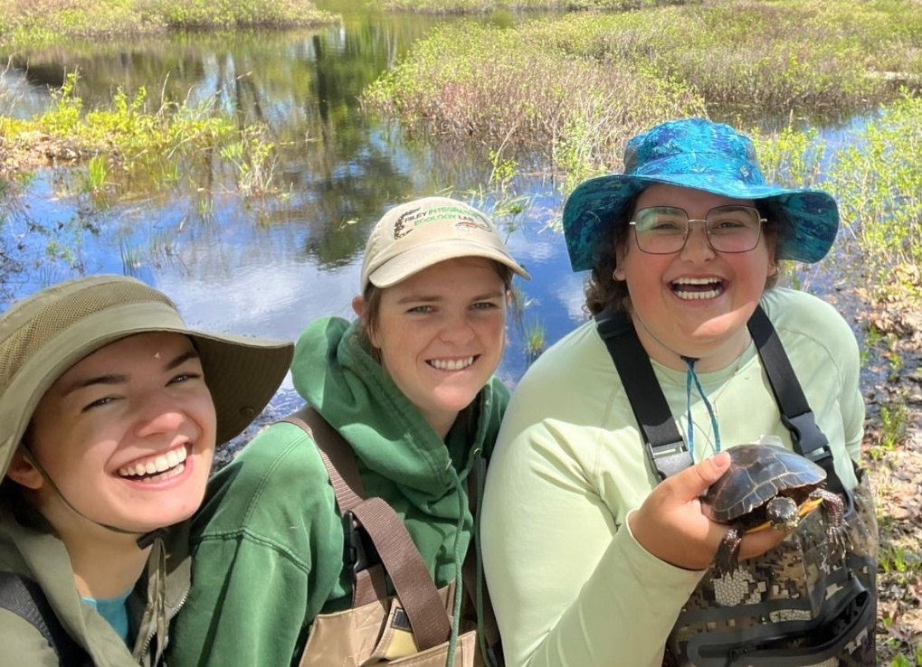 Three biologists smile in hip waiters by a wetland. One of the biologists holds a painted turtle in her hand.
