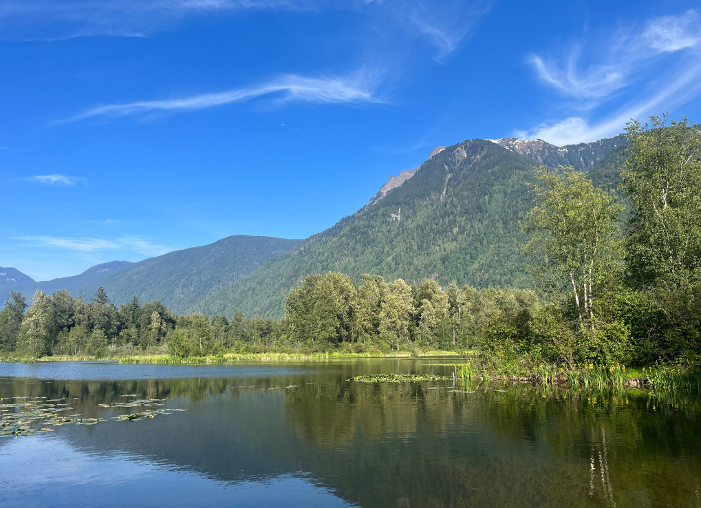 In the foreground a calm lake surrounded by trees and grass, in the background a mountain filled with trees and a blue sky