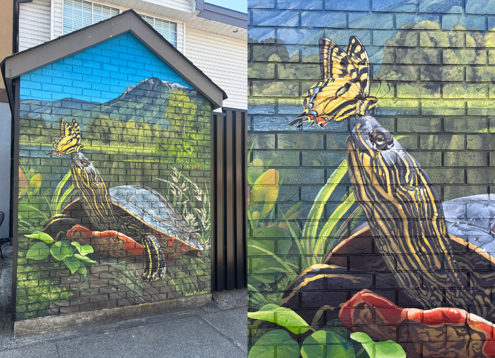 Finished mural of a western painted turtle with a yellow butterfly on its nose and wetland habitat with mountain in the background