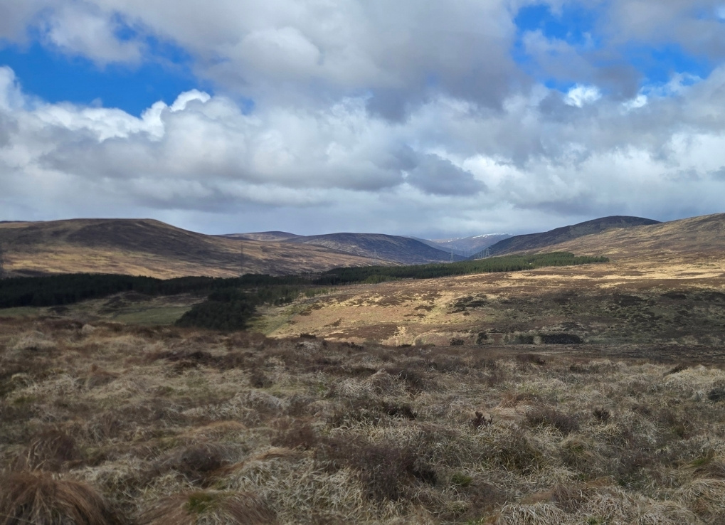 Landscape photo showing brown and yellow hills. The sky is blue and full of white clouds.